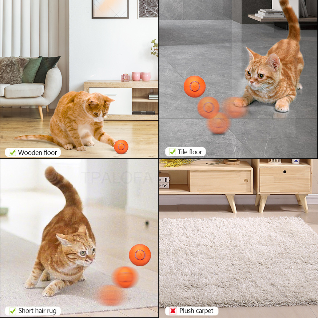 PurrPlay – Smart Rolling Toy