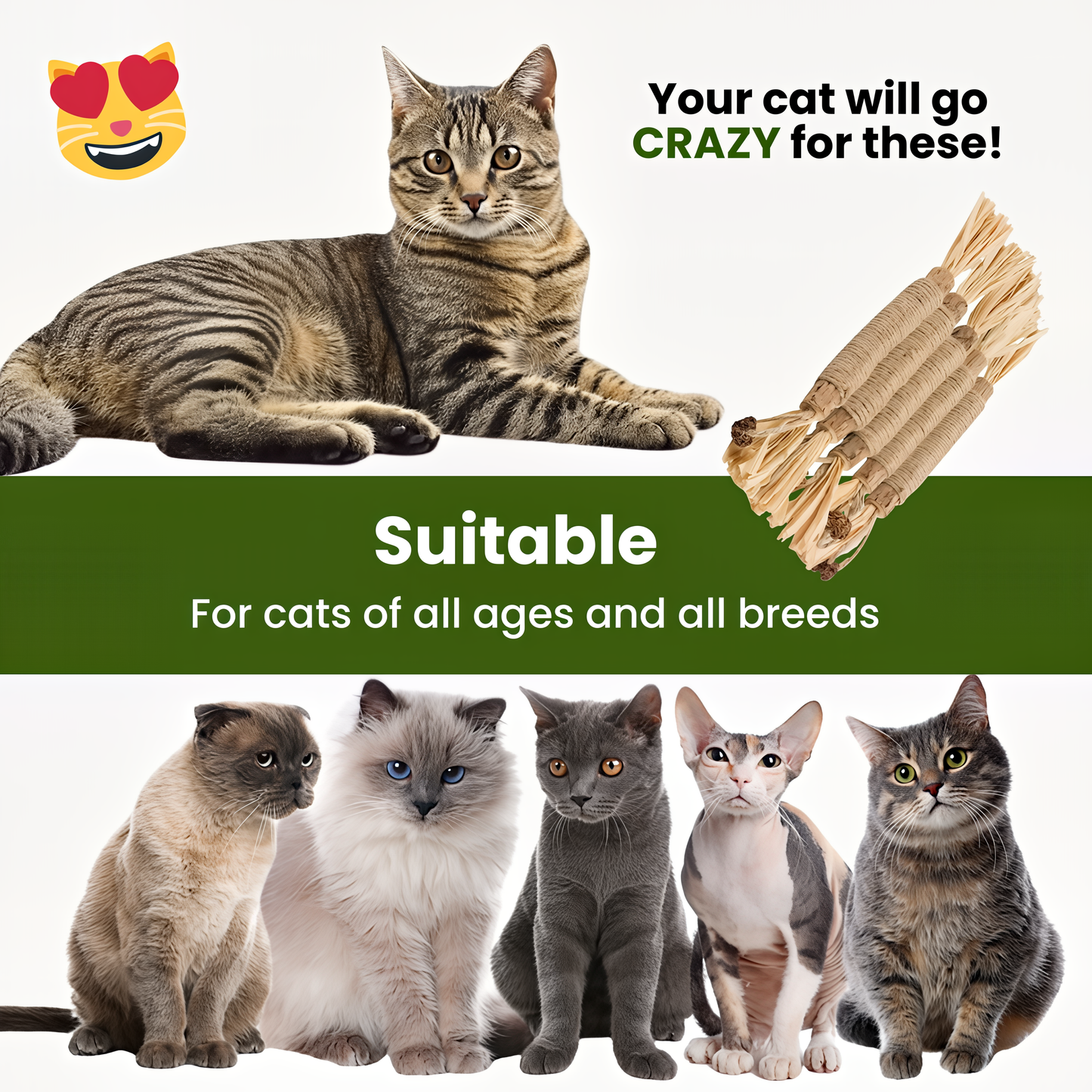 Puro Natural Dental Sticks