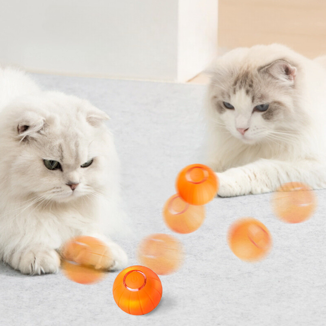 PurrPlay – Smart Rolling Toy