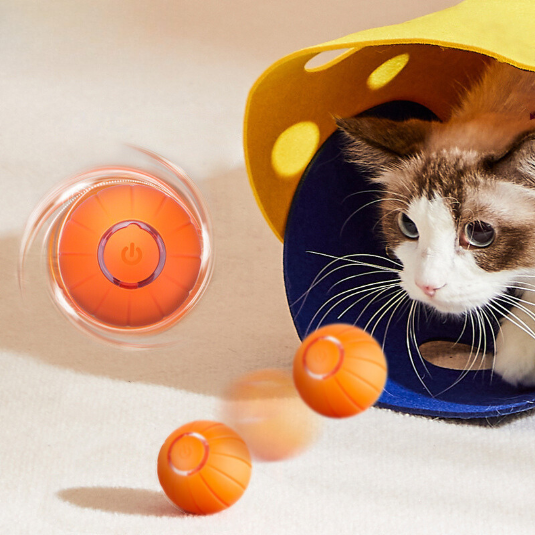 PurrPlay – Smart Rolling Toy