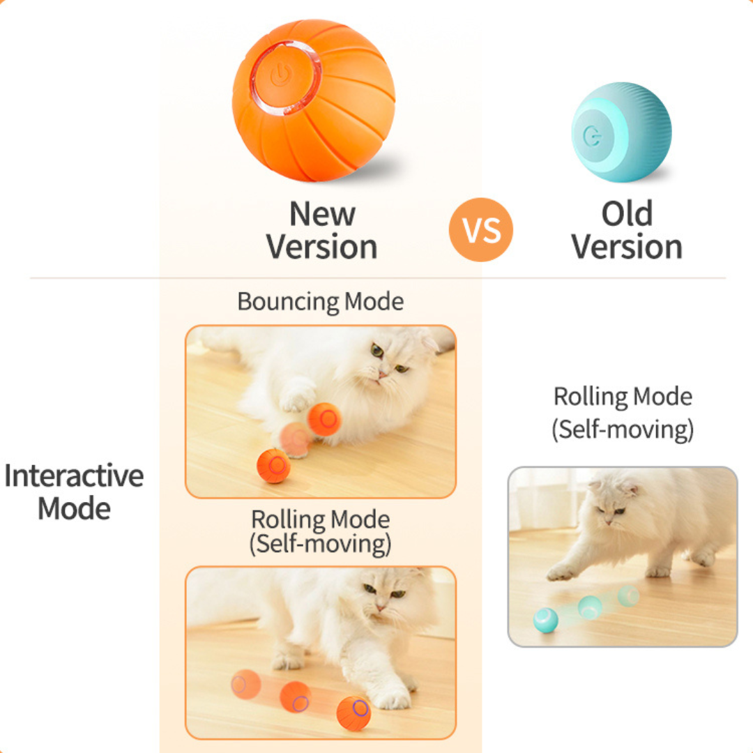 PurrPlay – Smart Rolling Toy