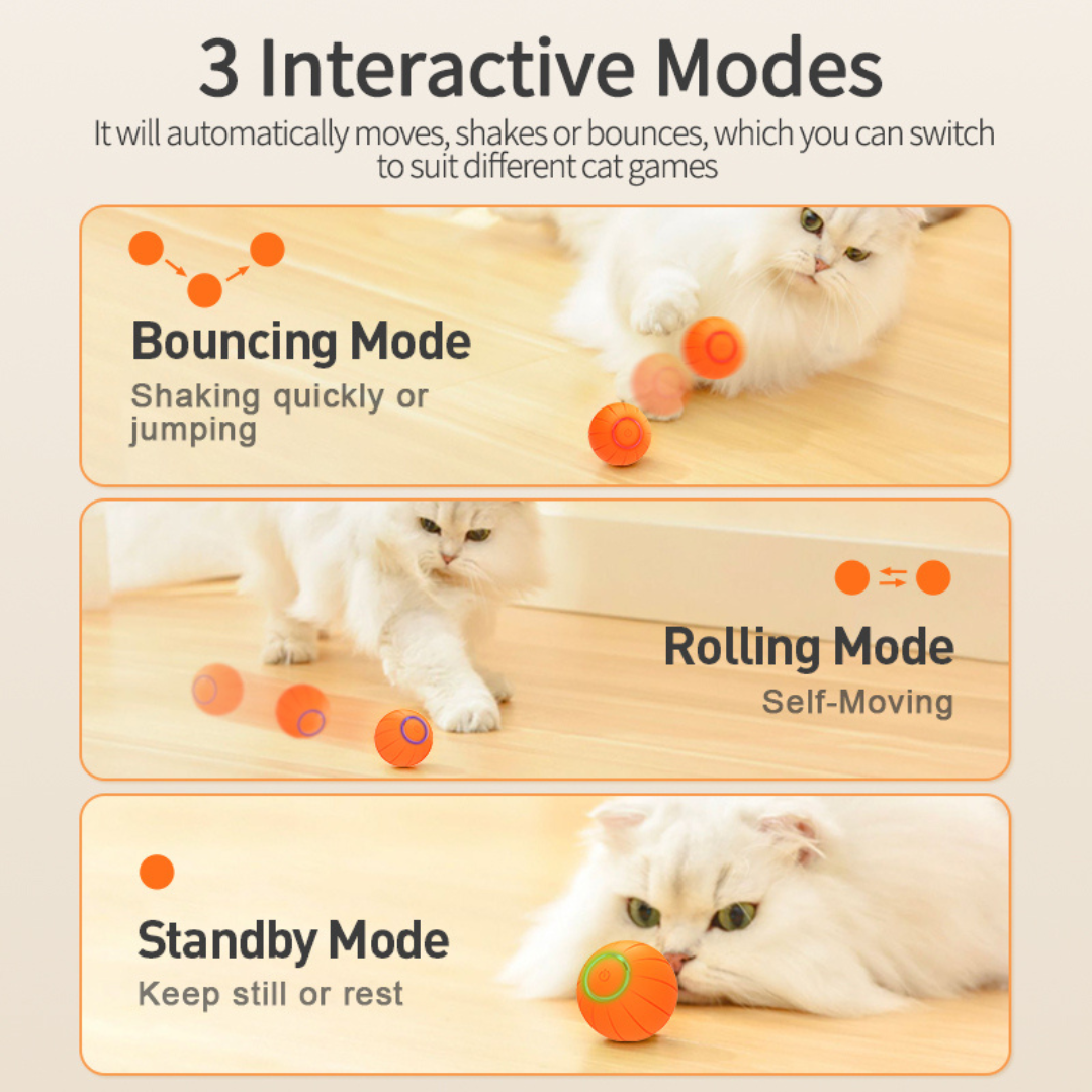 PurrPlay – Smart Rolling Toy