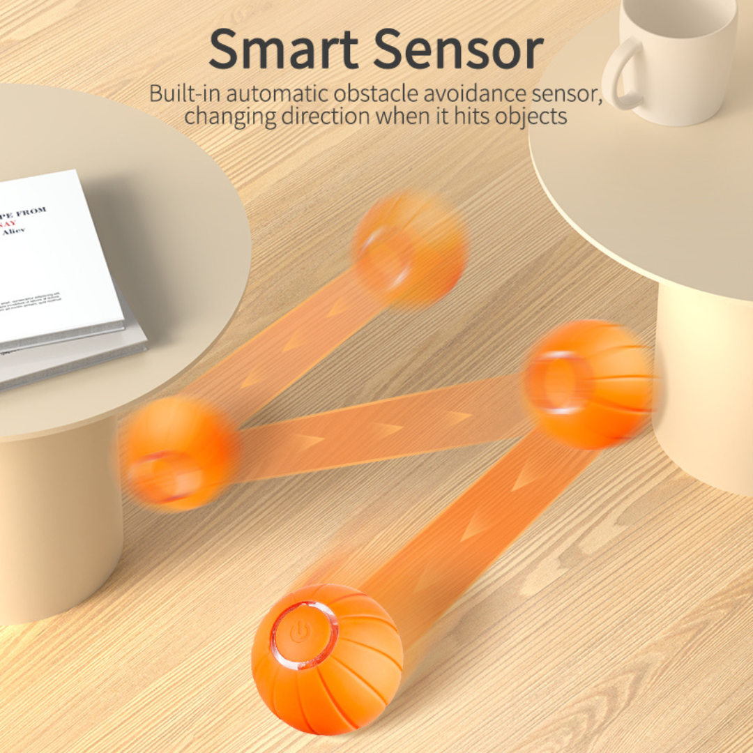 PurrPlay – Smart Rolling Toy