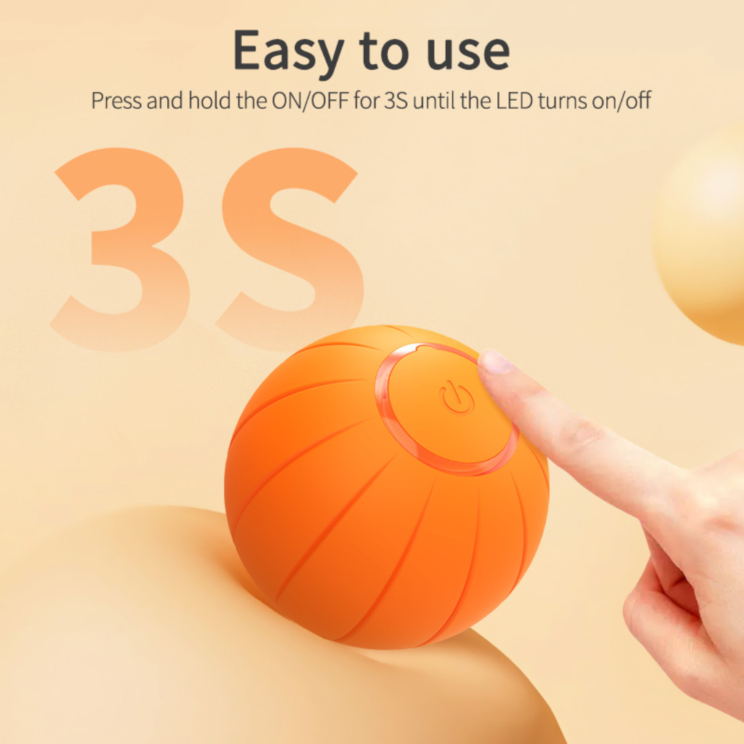 PurrPlay – Smart Rolling Toy