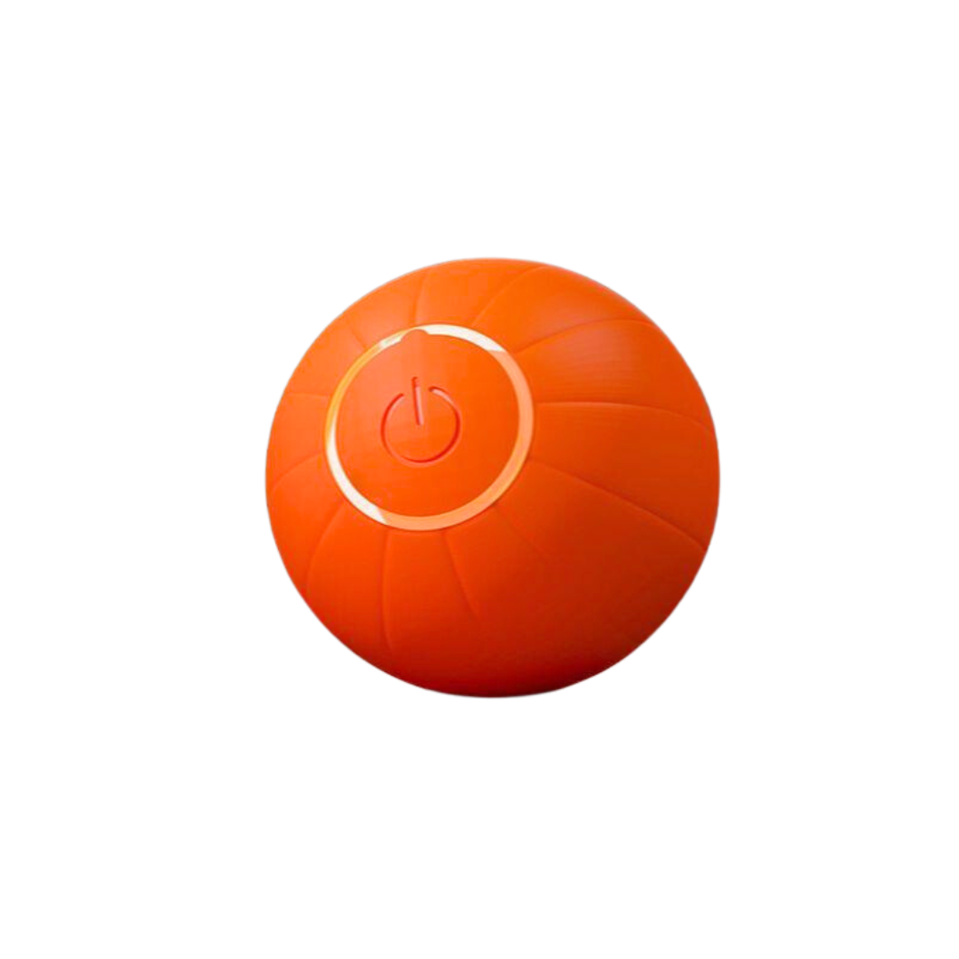 PurrPlay – Smart Rolling Toy