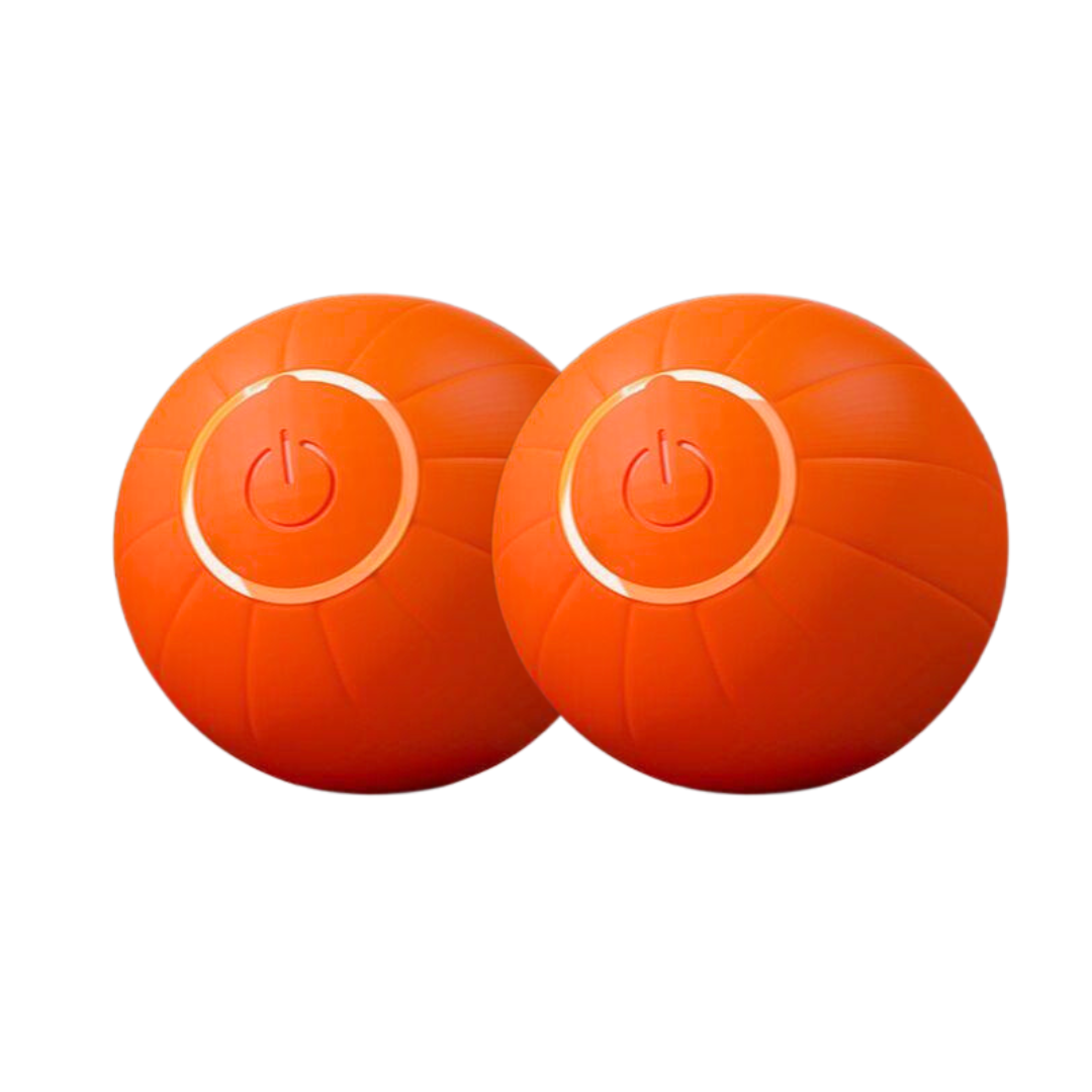 PurrPlay – Smart Rolling Toy