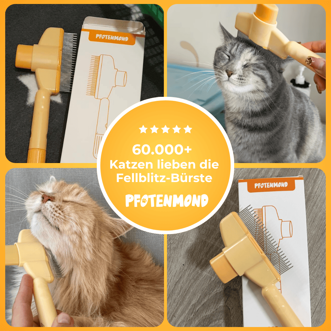 Fellblitz-Bürste - Der Bestseller