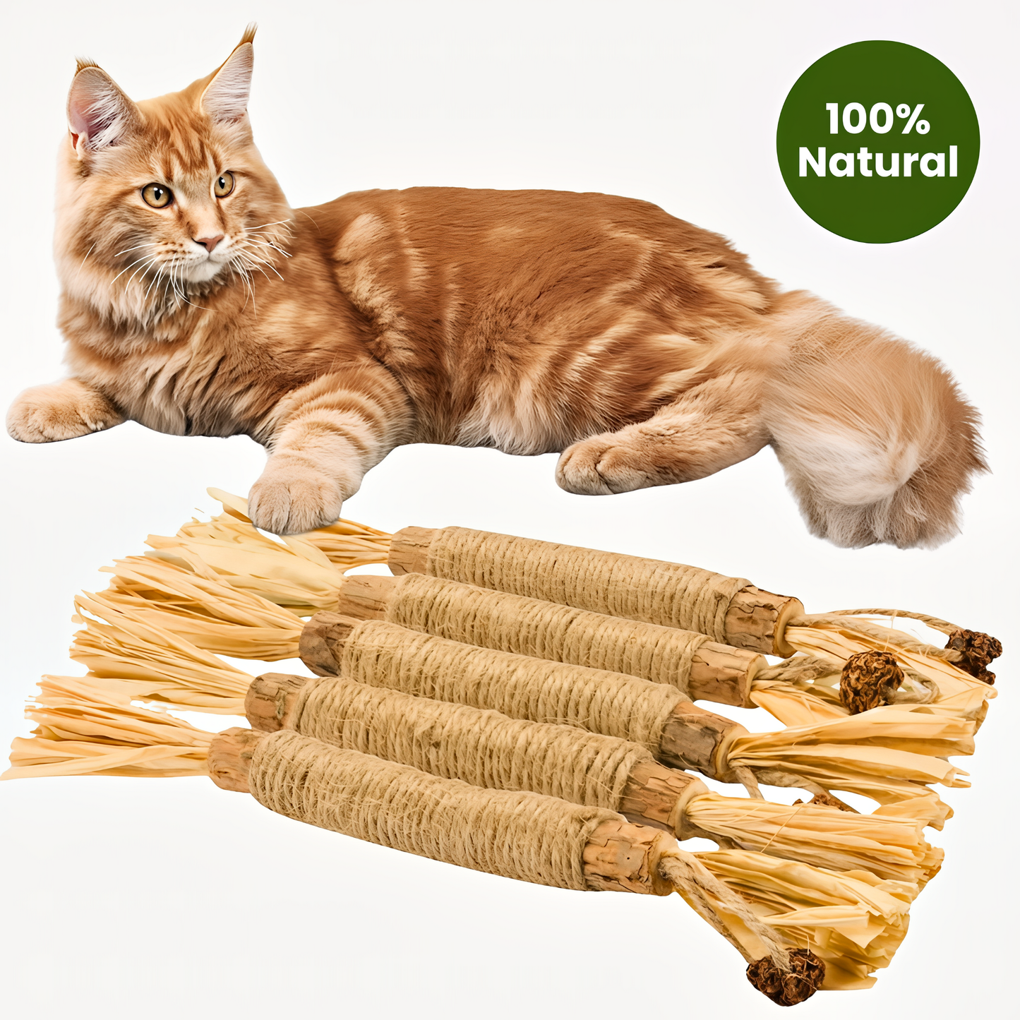 Puro Natural Dental Sticks