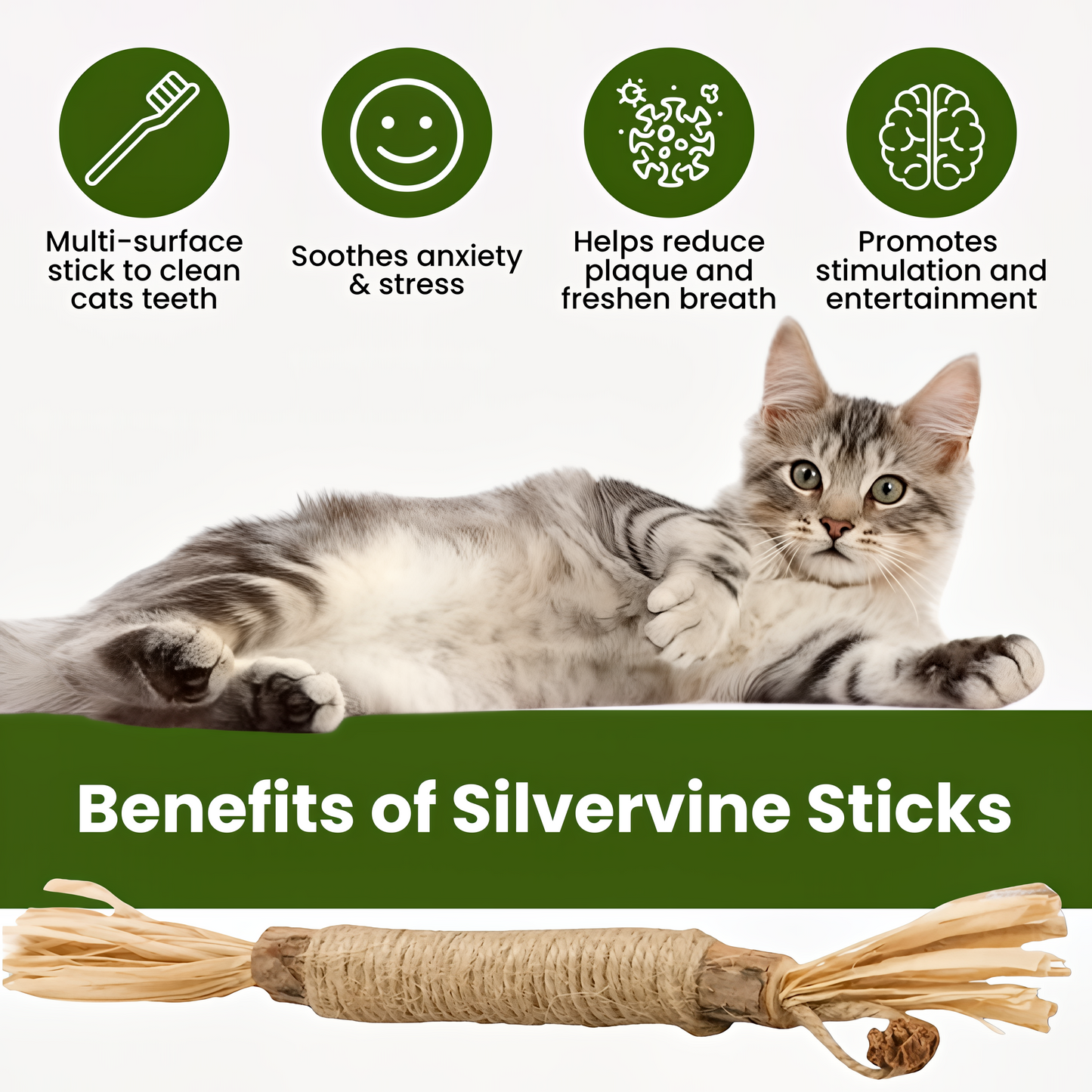 Puro Natural Dental Sticks