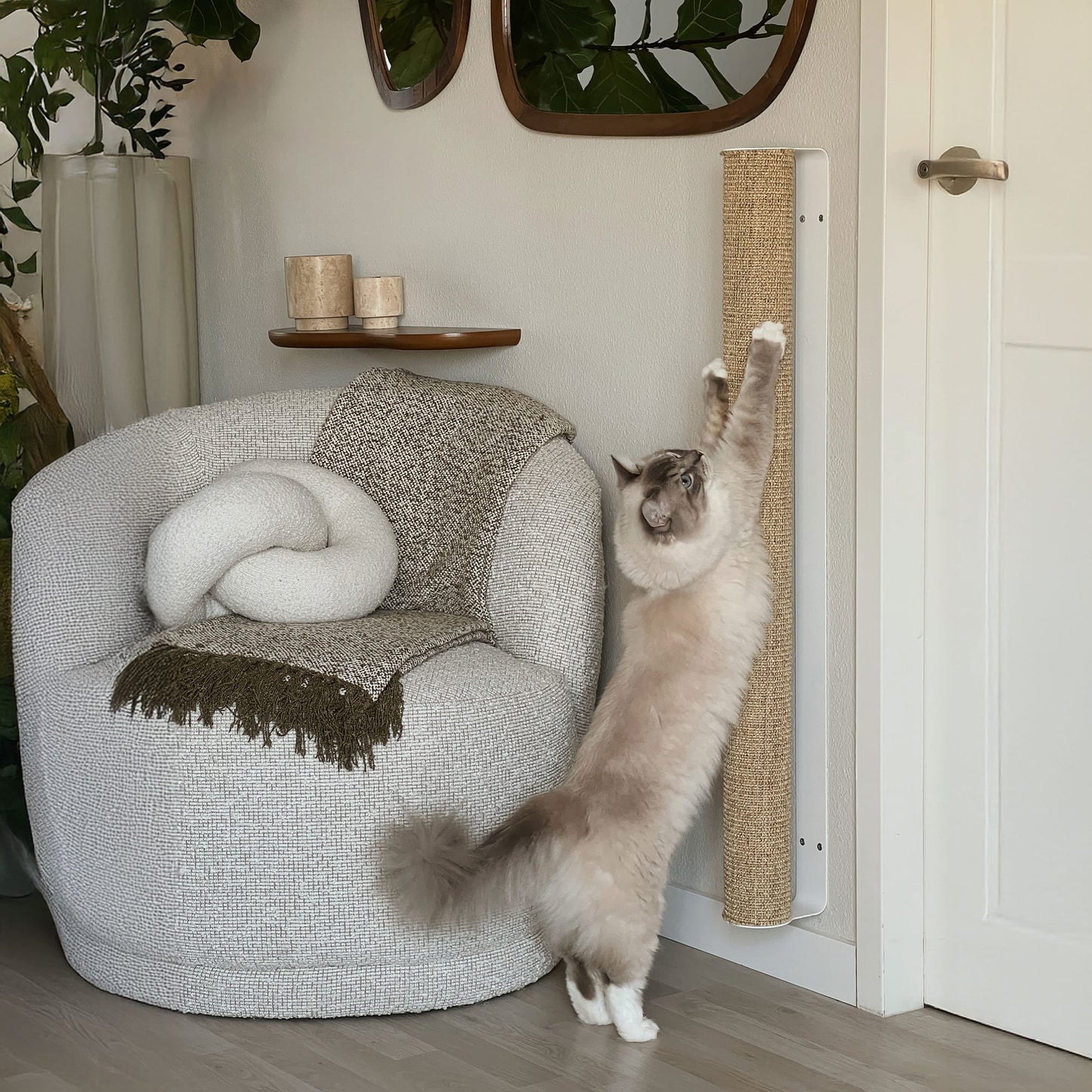CATWALK Kratzstamm