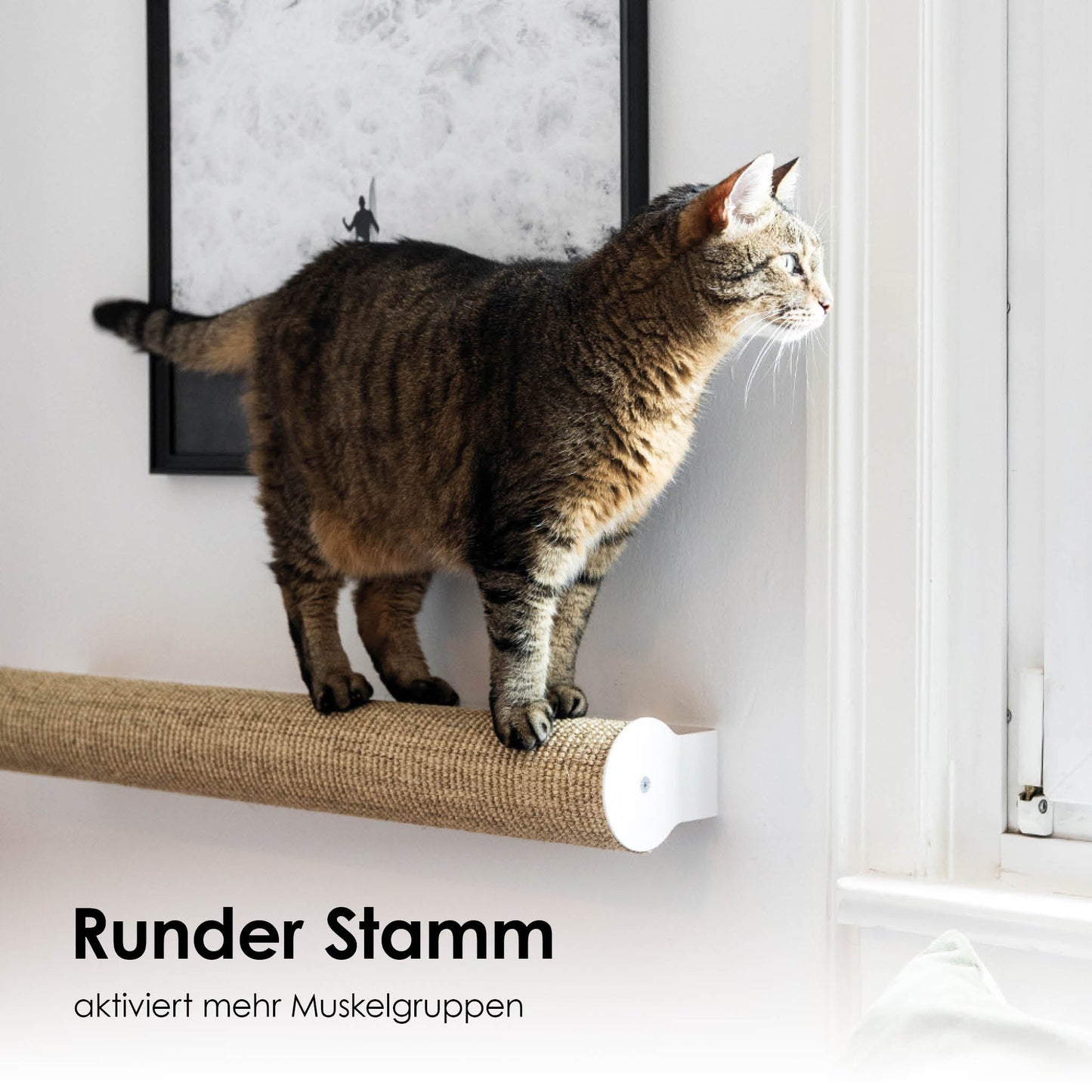 CATWALK Kratzstamm