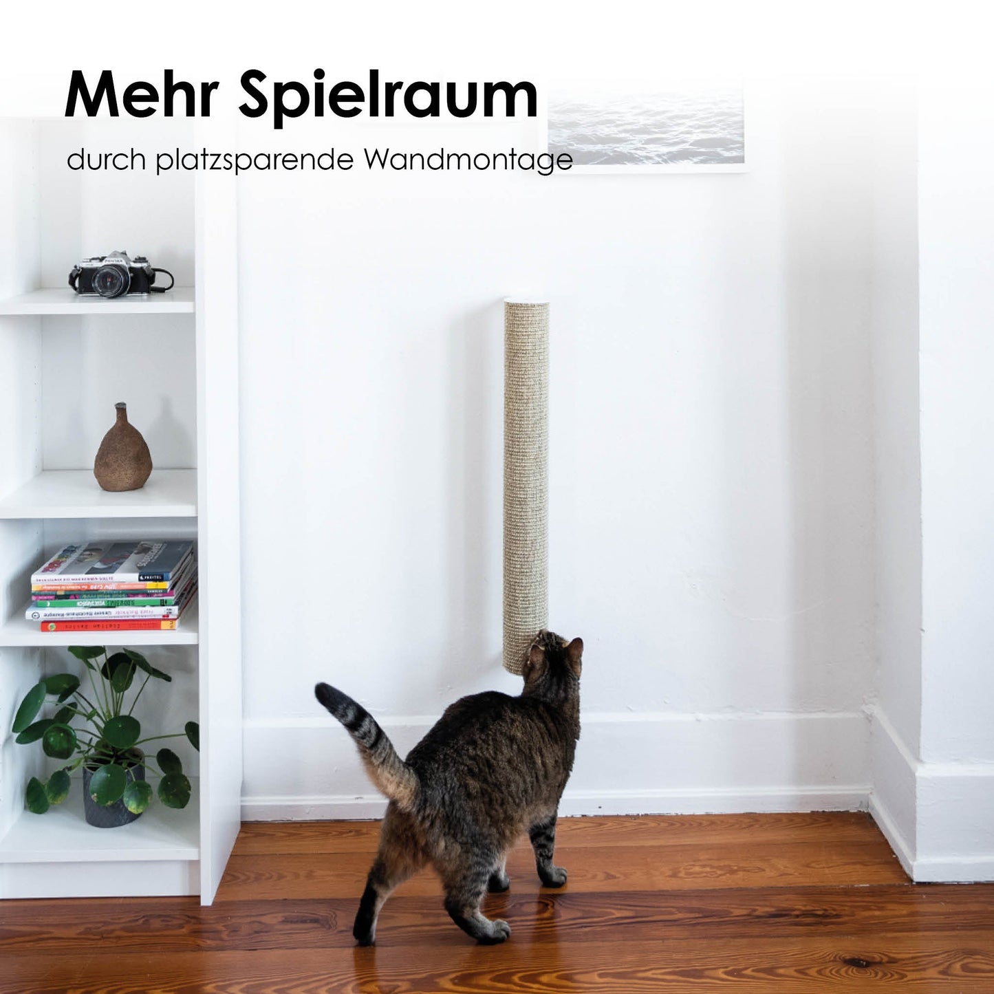 CATWALK Kratzstamm