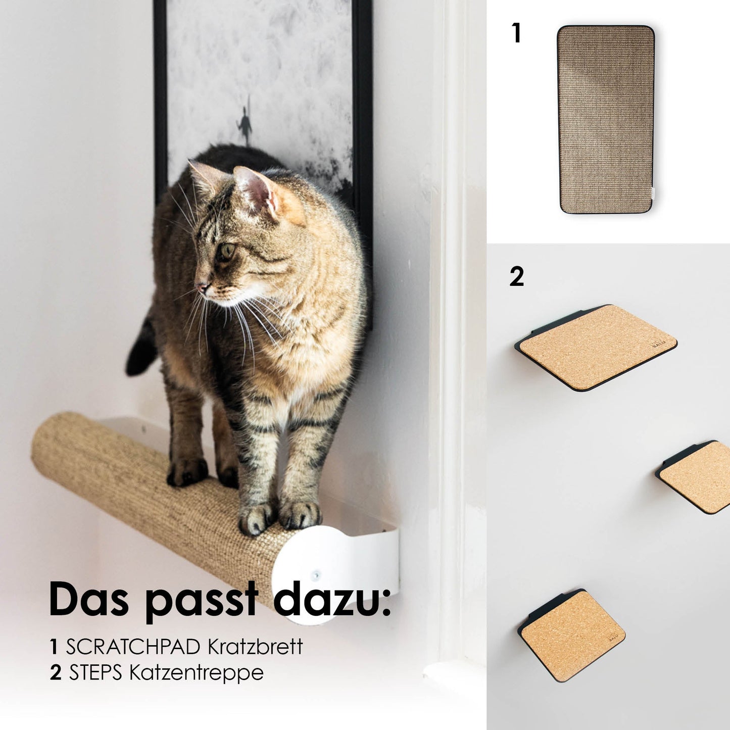 CATWALK Kratzstamm