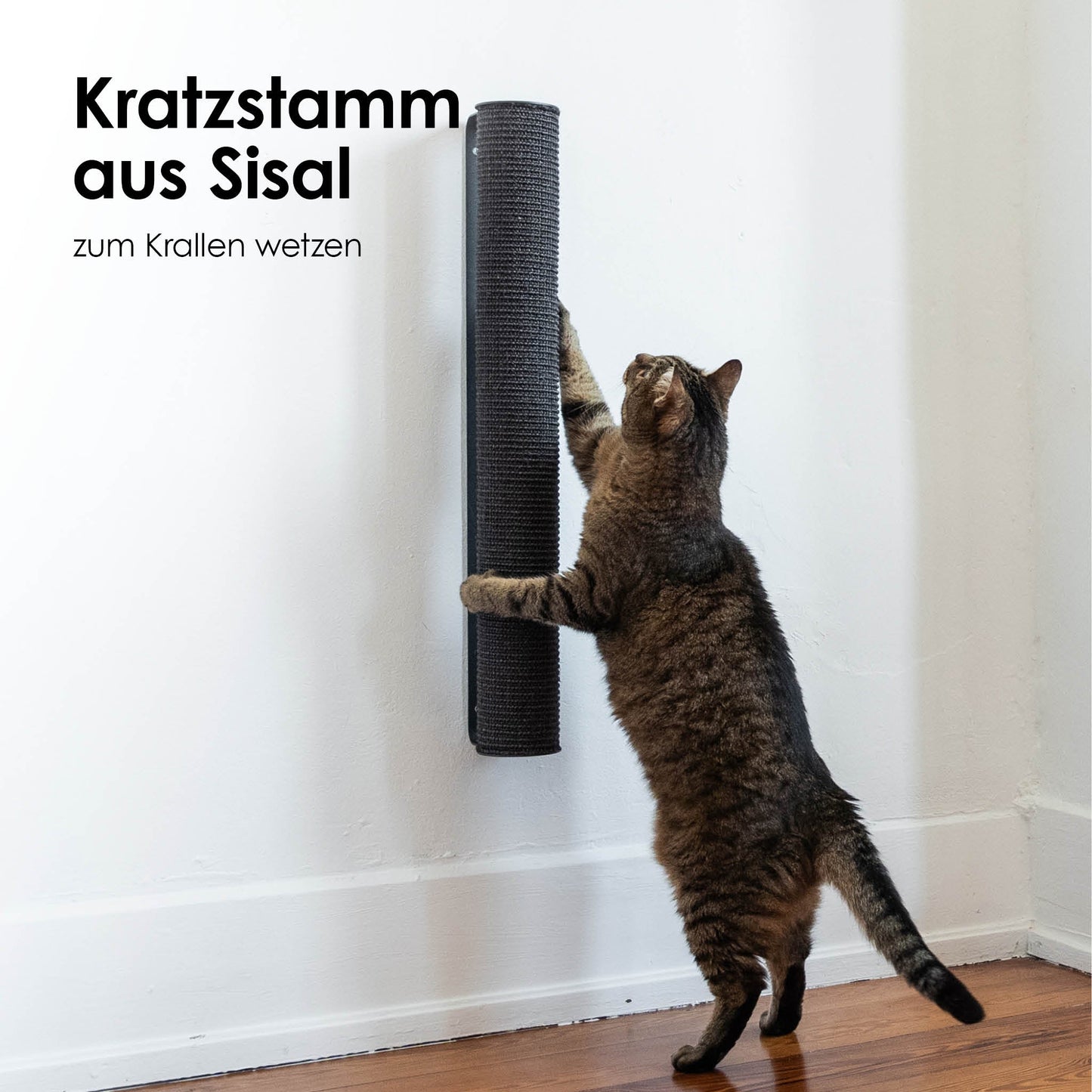 CATWALK Kratzstamm