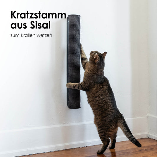 CATWALK Kratzstamm