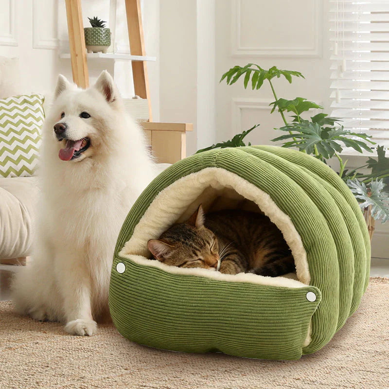 The winter home your furry friend deserves